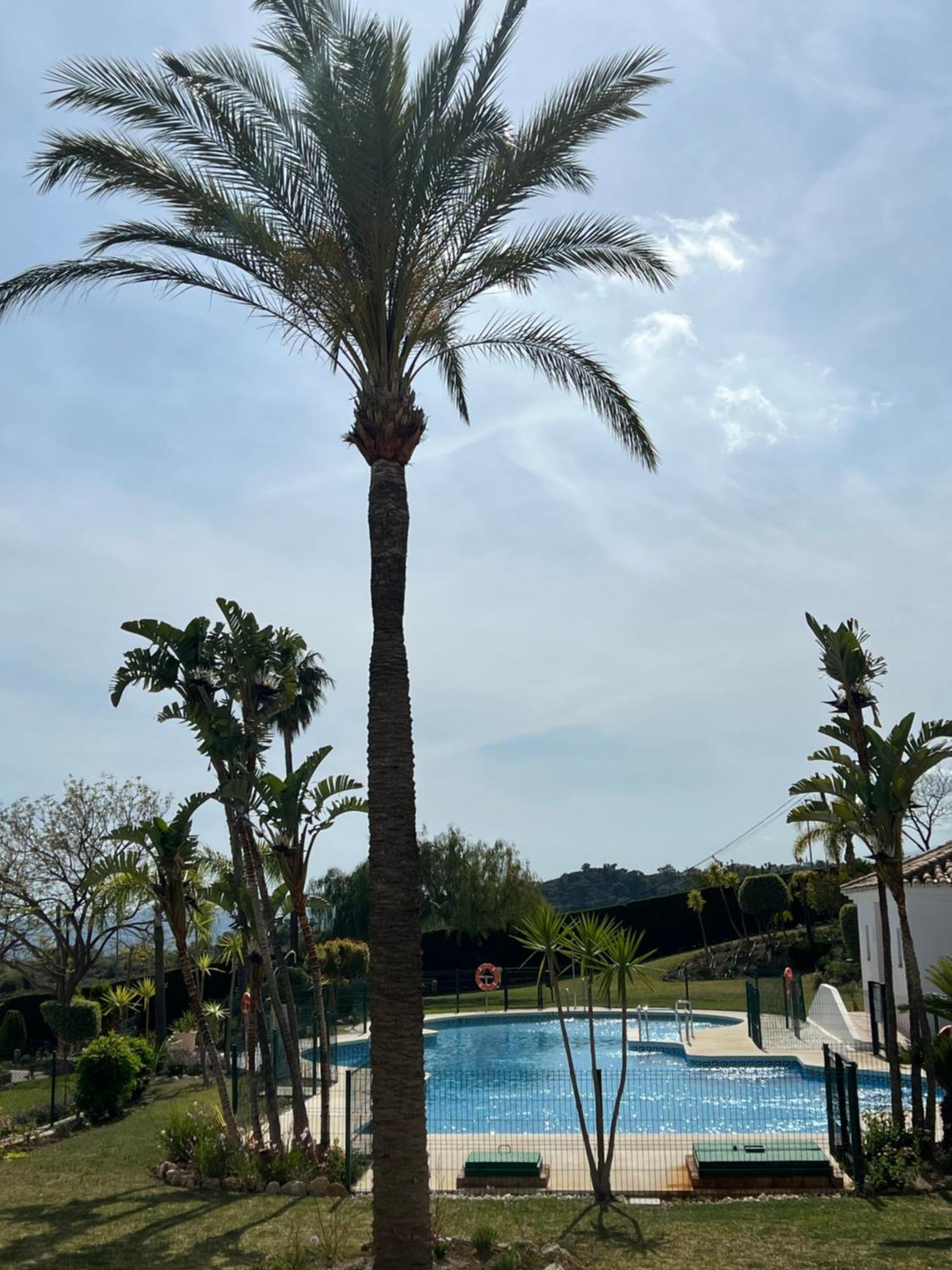 Finca San Antonio Two Bedroom Apartment With Swimming Pool ميخاس المظهر الخارجي الصورة