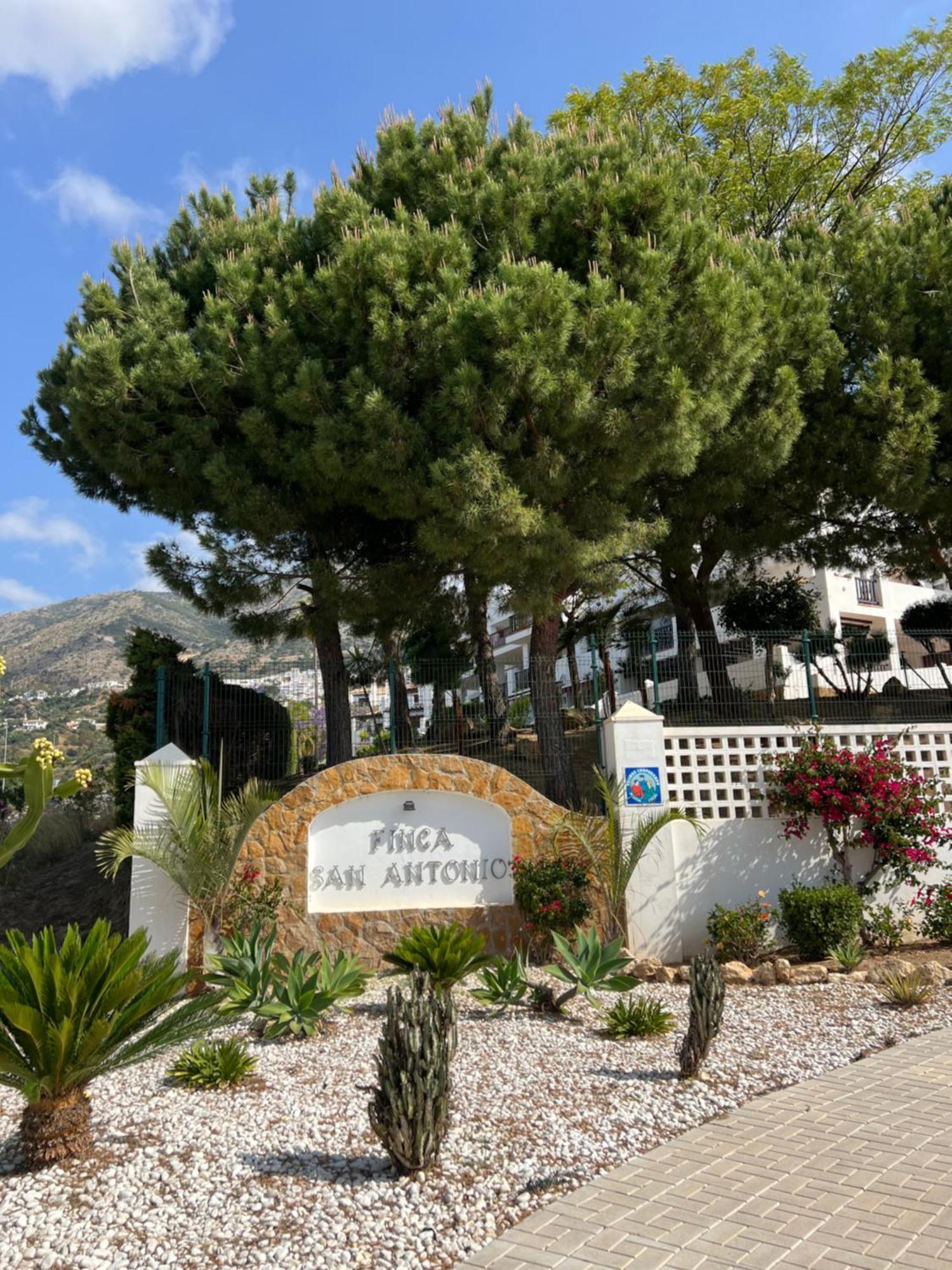 Finca San Antonio Two Bedroom Apartment With Swimming Pool ميخاس المظهر الخارجي الصورة